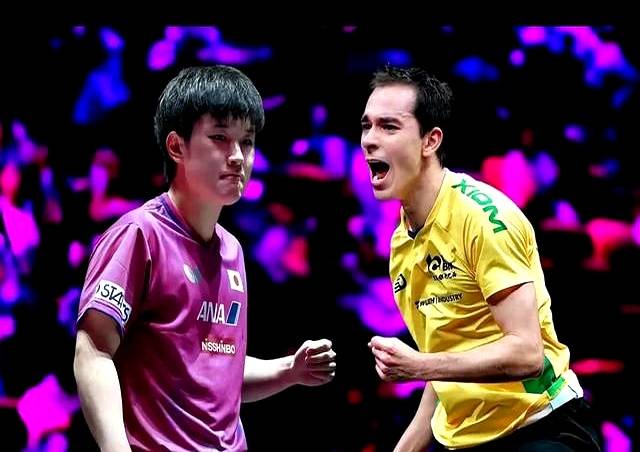 英国乒乓球队翻盘法国乒乓球队,张本智和绝境逆转 英国乒乓球队翻盘法国乒乓球队,张本智和绝境逆转