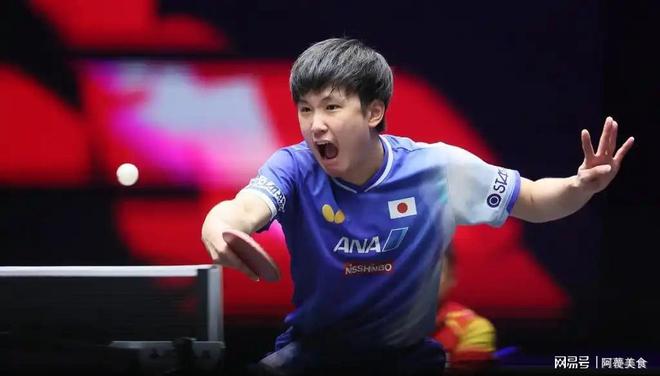 奥地利乒乓球队强势韩国乒乓球队，张本智和惊艳世界