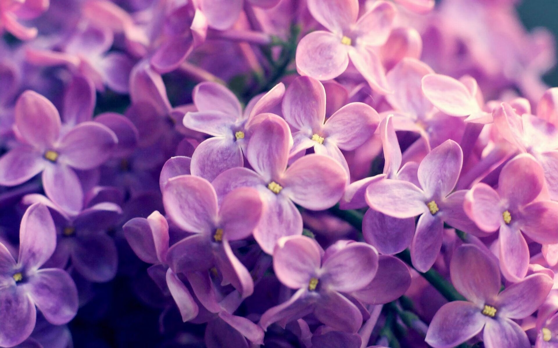 从配角到导演，当卢卡库用一己之力，将瑞典埋葬在加纳的战术迷宫里