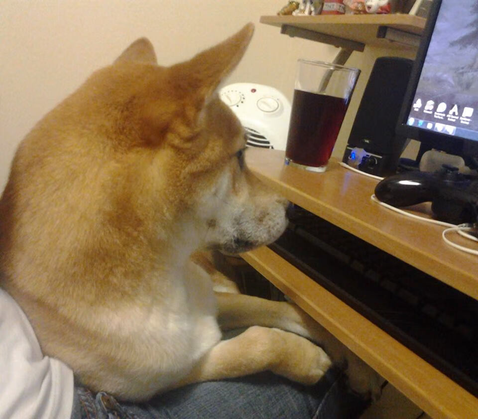 波斯地毯与维京战船,欧冠淘汰赛上那场改写地理的诗篇