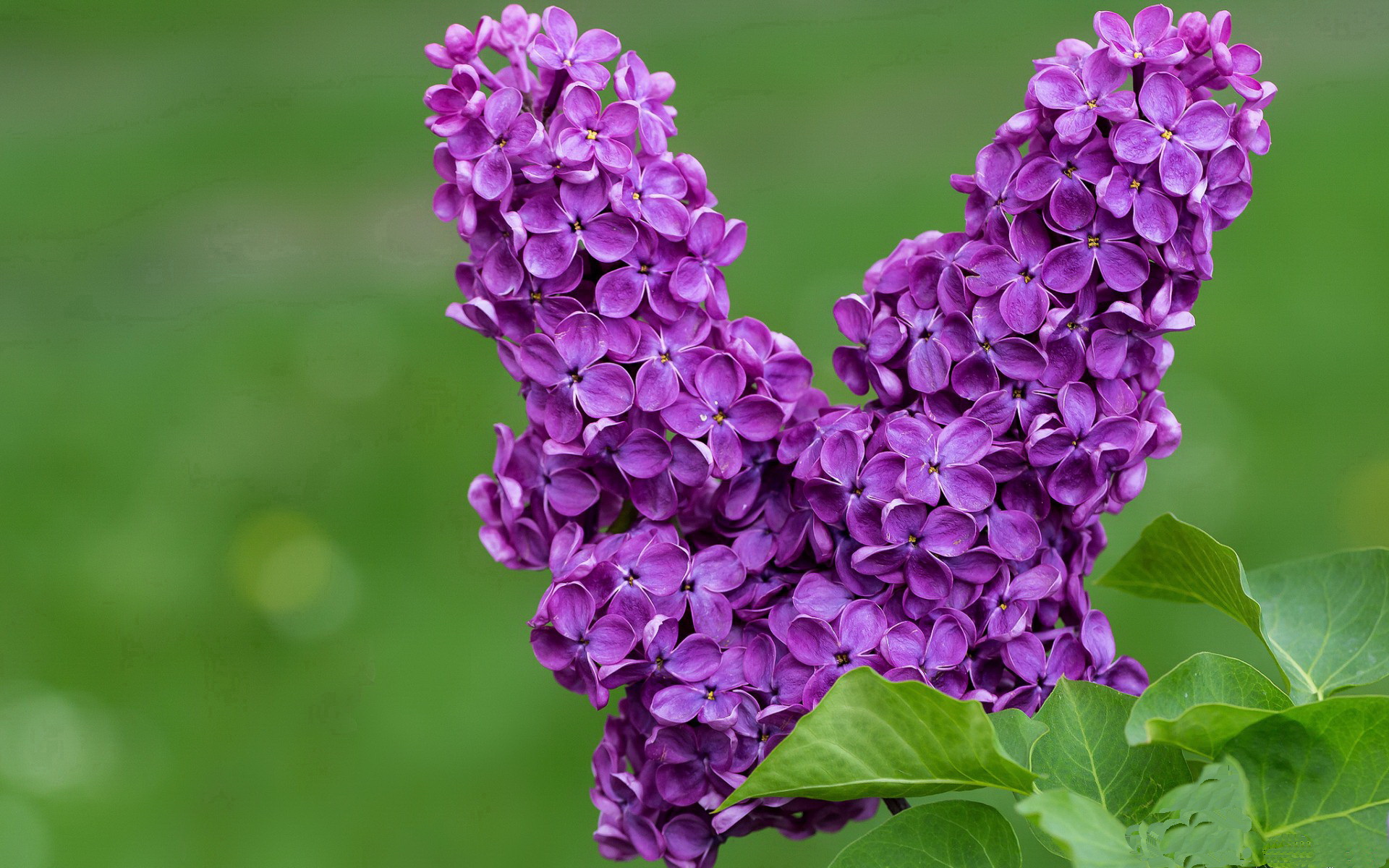 元宇宙试炼,当浓眉的末节救赎对上胡金秋的镜像对决