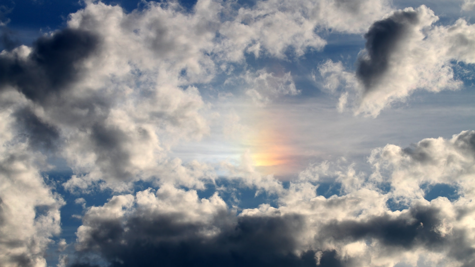 铁壁山西队防线被浙江打穿！字母哥化身手术刀刀刀见血