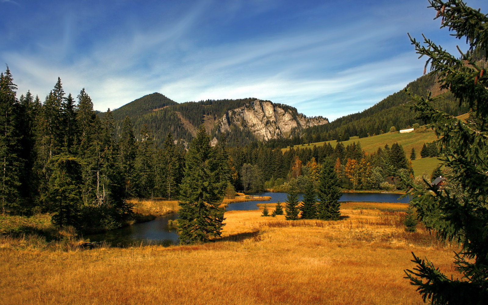 平行宇宙的钢铁风暴，当广厦打穿鹈鹕，范弗利特双线封神