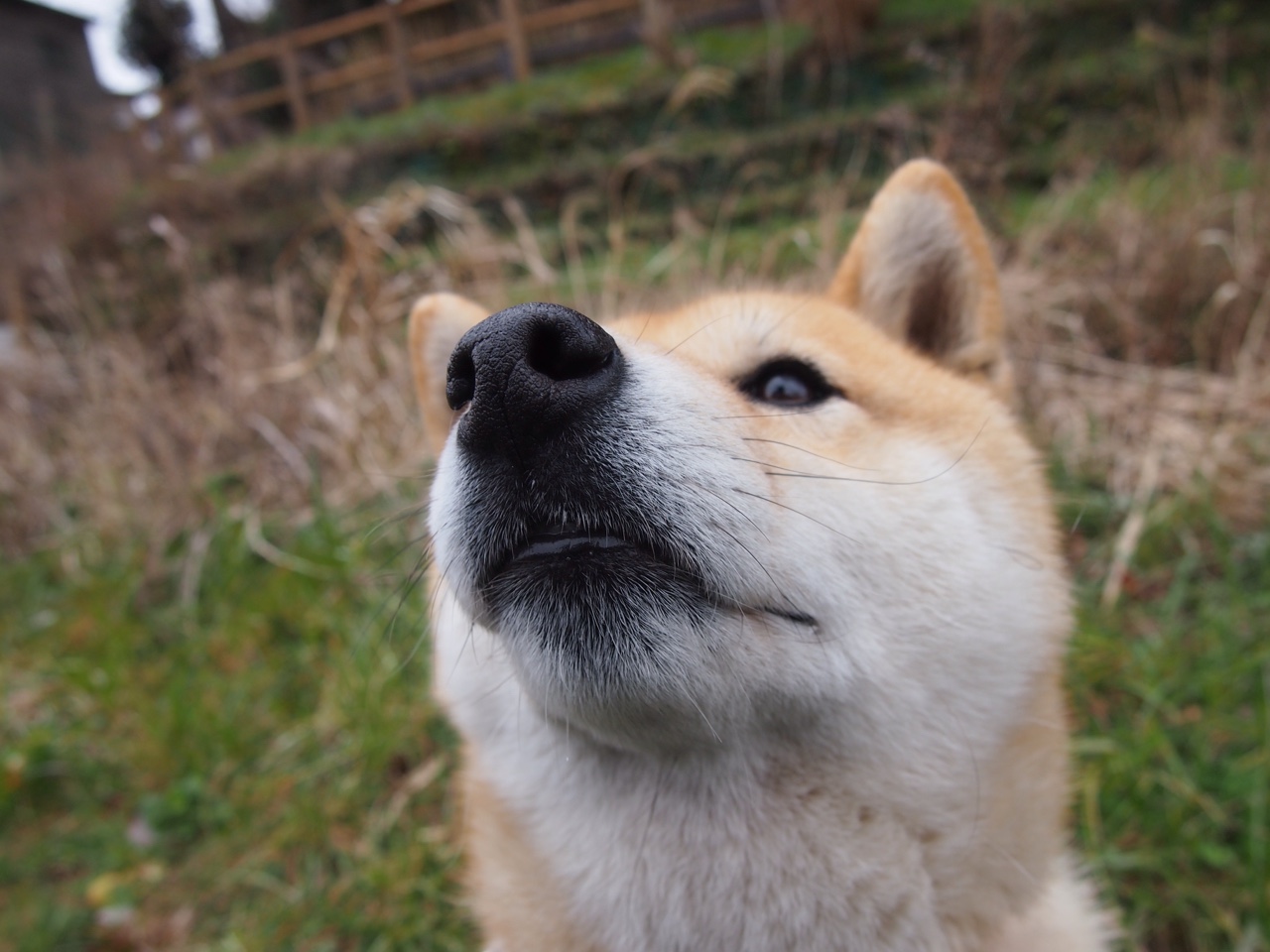 绿茵与篮网的对话,体育唯一性的双重奏—论英超焦点战与CBA强压局的共通法则