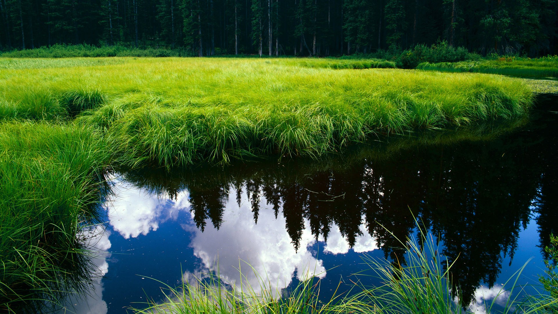 2026美墨加世界杯焦点战,土耳其国家队轻取曼城,地中海的柔韧撕裂蓝月钢铁