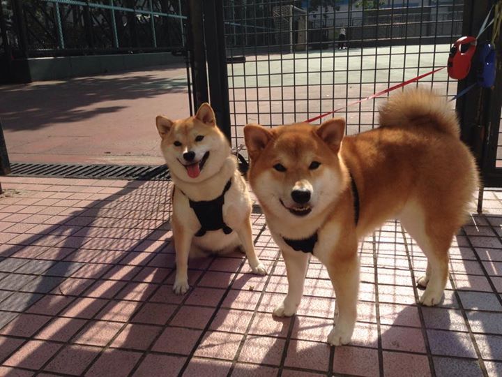 当密尔沃基的铁蹄踏过亚特兰大，一个关于如果的总决赛狂想曲