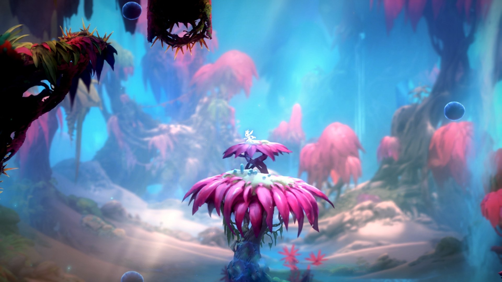 绿茵场与篮球馆,球场智慧的终极对话