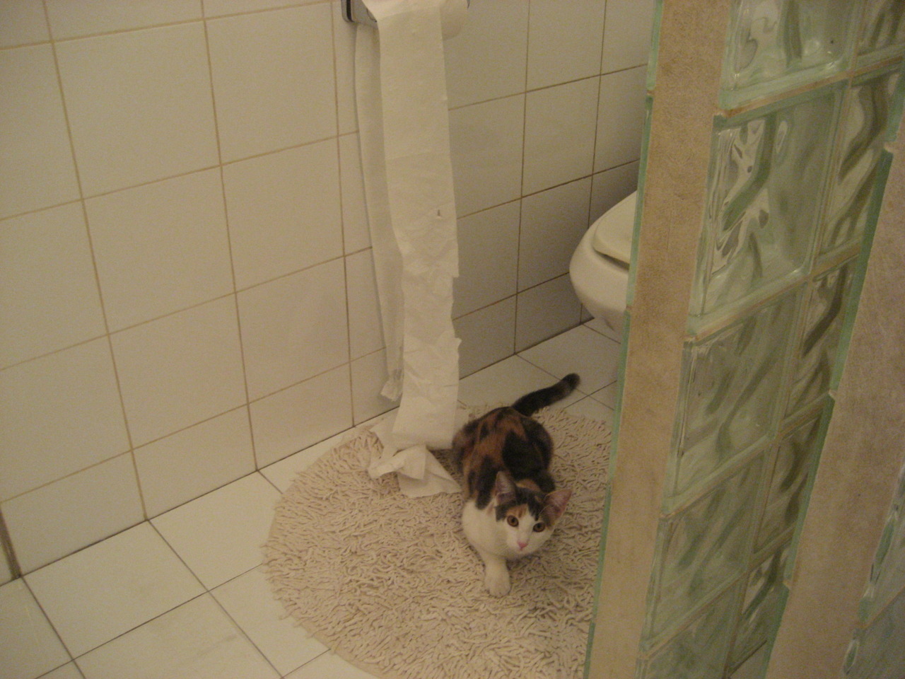 镁光灯定律，当底特律的黑暗被拉文的火焰点燃