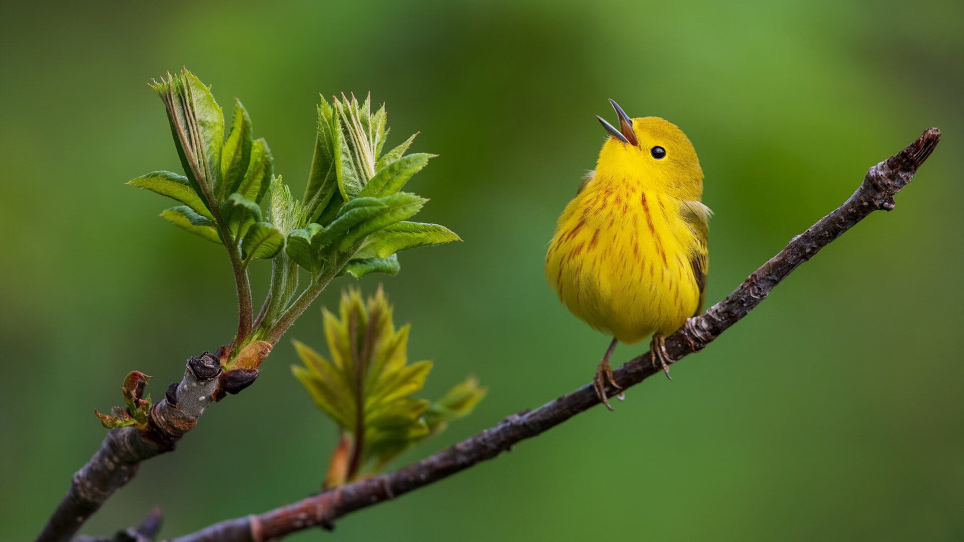 封锁与艺术，两个平行世界的对抗与征服