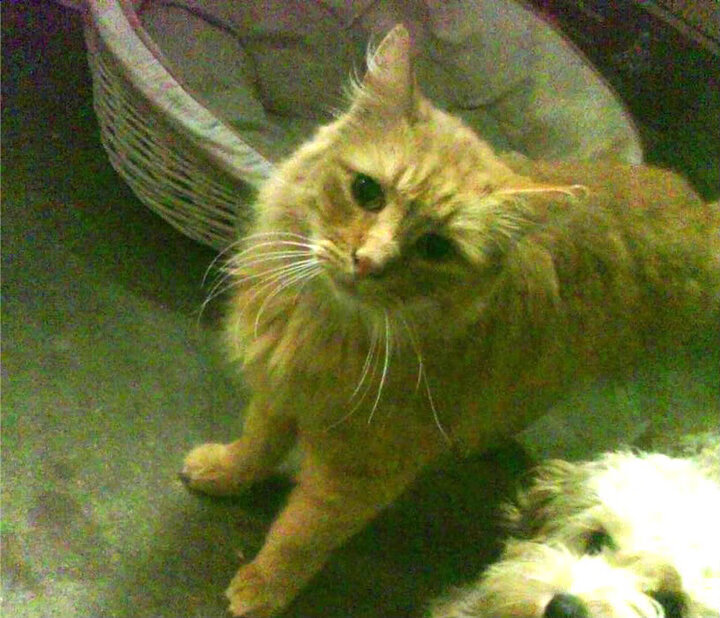 逆转狂澜！亚特兰大三球风暴，如何撕裂伊拉克的钢铁防线神话？